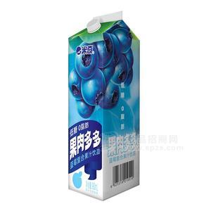 米奇果肉多多藍(lán)莓復(fù)合果汁飲品980ml