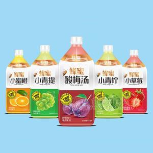 非赢蜂蜜小蜜橙小青提小草莓小青柠酸梅汤果味饮料