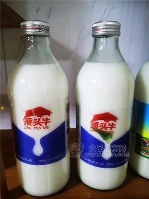 領(lǐng)頭牛蘆薈酸奶