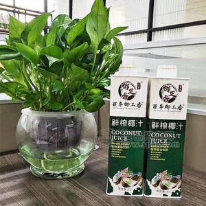 百年椰正香鲜榨椰汁植物蛋白饮料招商1L