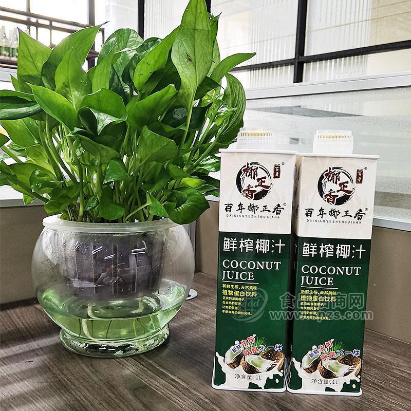 百年椰正香鮮榨椰汁植物蛋白飲料招商1L