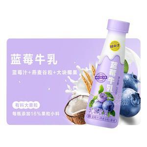 鮮點子藍莓牛乳乳味飲料招商350g