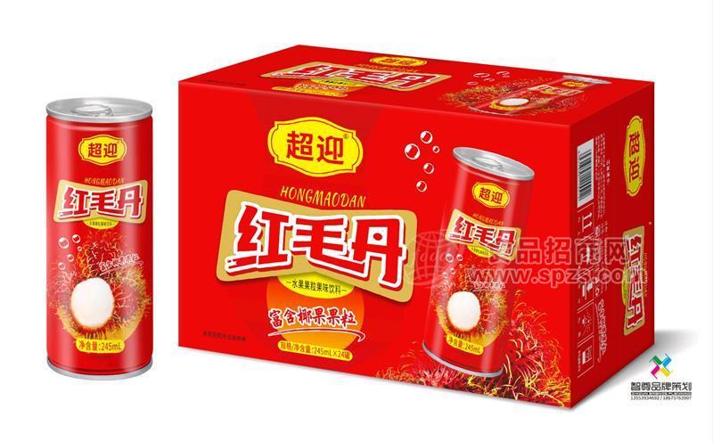 超迎紅毛丹水果果粒果味飲料245mlx24罐