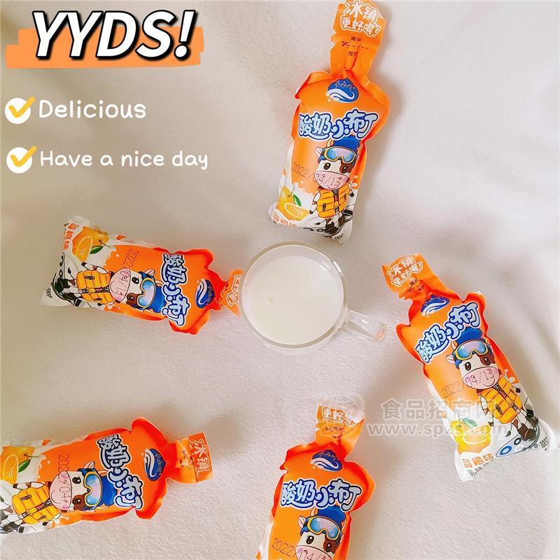 牛小叮甜橙味酸奶小布丁乳味饮品招商100g