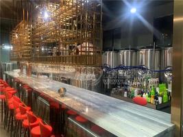 广西自助烤肉店精酿啤酒设备价格