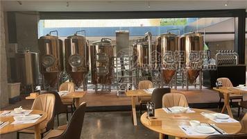 自酿啤酒生产设备国内自酿啤酒设备厂家