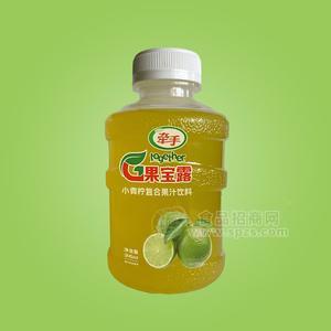 牽手果寶露小青檸復(fù)合果汁飲料水桶瓶345mL