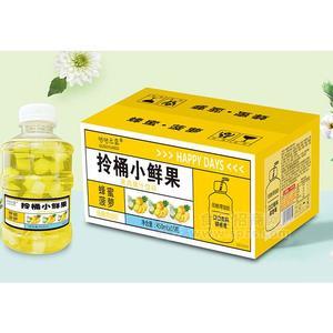 咕咕元氣果肉果汁饮料拎桶小鲜果蜂蜜菠萝味450mlX15瓶