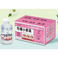 咕咕元氣果肉果汁饮料拎桶小鲜果蜂蜜荔枝味450mlX15瓶