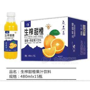 九州華洋生榨甜橙果汁飲料480mlx15瓶