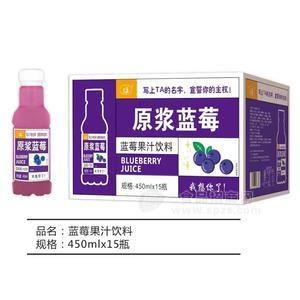 九州華洋藍莓果汁飲料450mlx15瓶