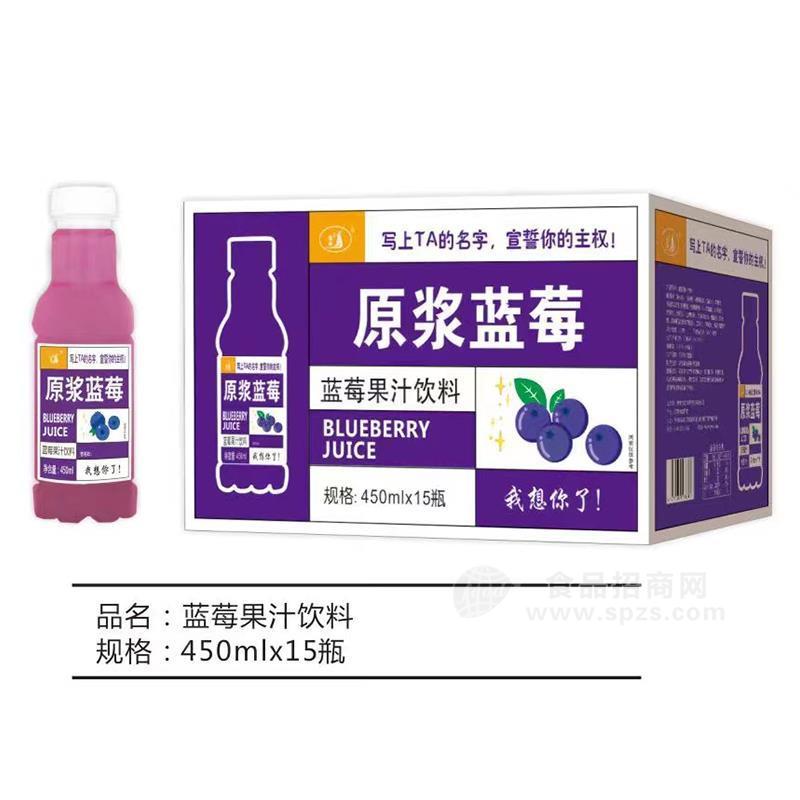 九州華洋藍(lán)莓果汁飲料450mlx15瓶