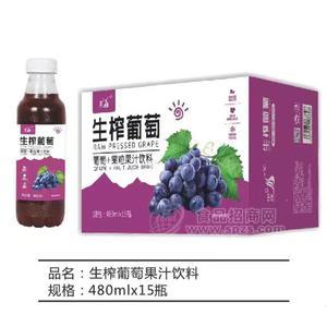 九州華洋生榨葡萄+果粒果汁飲料480mlx15瓶