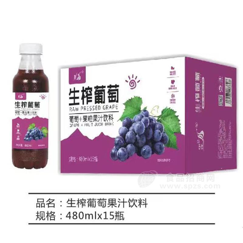 九州華洋生榨葡萄+果粒果汁飲料480mlx15瓶