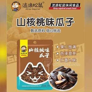 流浪松鼠2元山核桃味瓜子休闲食品40g