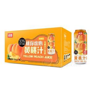 銀露桃你歡心果汁飲料黃桃味500mlX15瓶