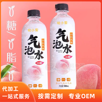 果味氣泡水飲料代加工廠