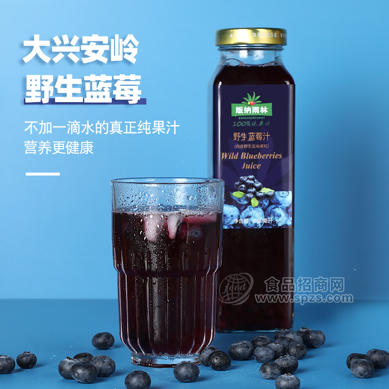 版纳雨林野生蓝莓汁680ml