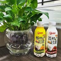 益城杨枝甘露荔枝甘露混合风味饮料550ml