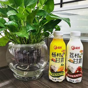 益城杨枝甘露荔枝甘露混合风味饮料550ml