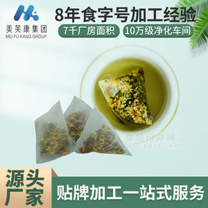 紅棗枸杞袋泡茶生產廠家 三角包尼龍包代用茶OEM貼牌加工