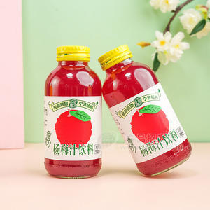 雀享杨梅汁饮料310ml