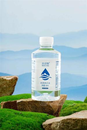 水珍泉天然苏打水天然饮品360ml