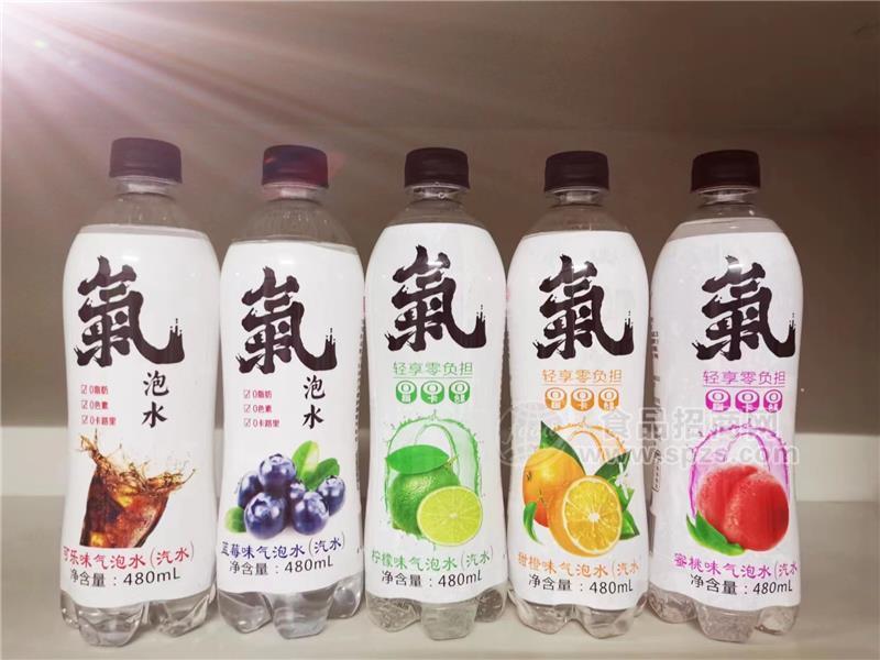 蜜碧碳酸饮料苏打气泡水汽水480ml