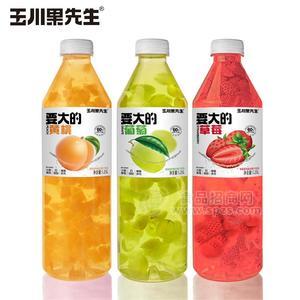 玉川果先生復(fù)合果汁飲品1.25L