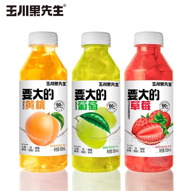 玉川果先生復(fù)合果汁飲品果肉飲料大果粒果粒果汁500ml