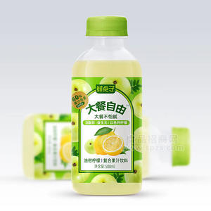 鮮點(diǎn)子大餐自由油柑檸檬復(fù)合果汁飲料500ml