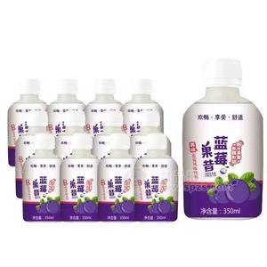 長(zhǎng)江北岸藍(lán)莓果昔風(fēng)味飲料350ml