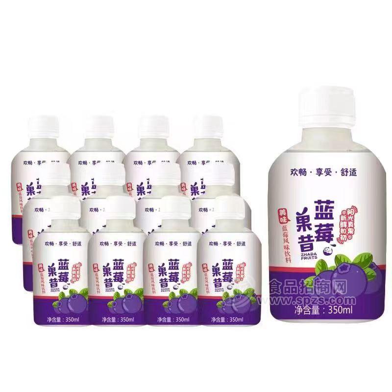 長(zhǎng)江北岸藍(lán)莓果昔風(fēng)味飲料350ml