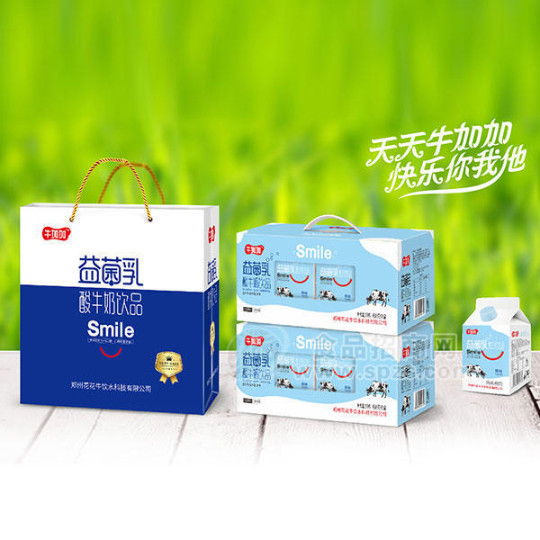 牛加加益菌乳酸牛奶饮品原味酸奶礼盒装458g