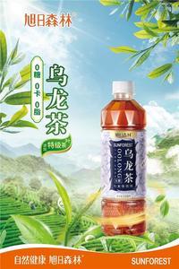 旭日森林無(wú)糖烏龍茶510ml