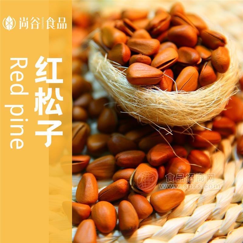 大颗粒红松子 松子OEM定制贴牌 红松子代工厂家货源