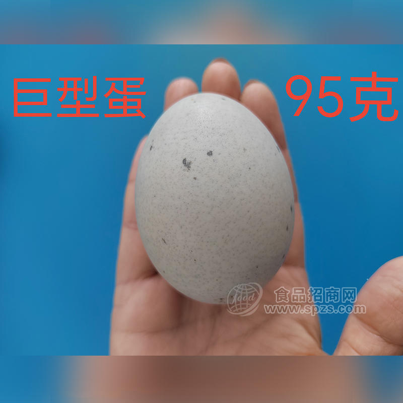 煜味原巨型蛋95g