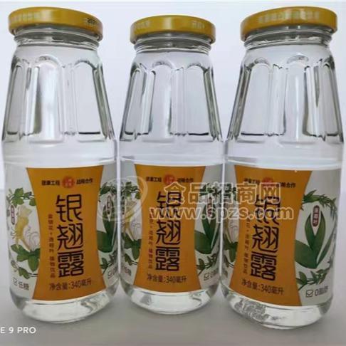 金银花+连翘叶植物饮品 银翘露