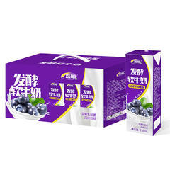 浩明发酵软牛奶蓝莓乳酸菌箱装招商250ml