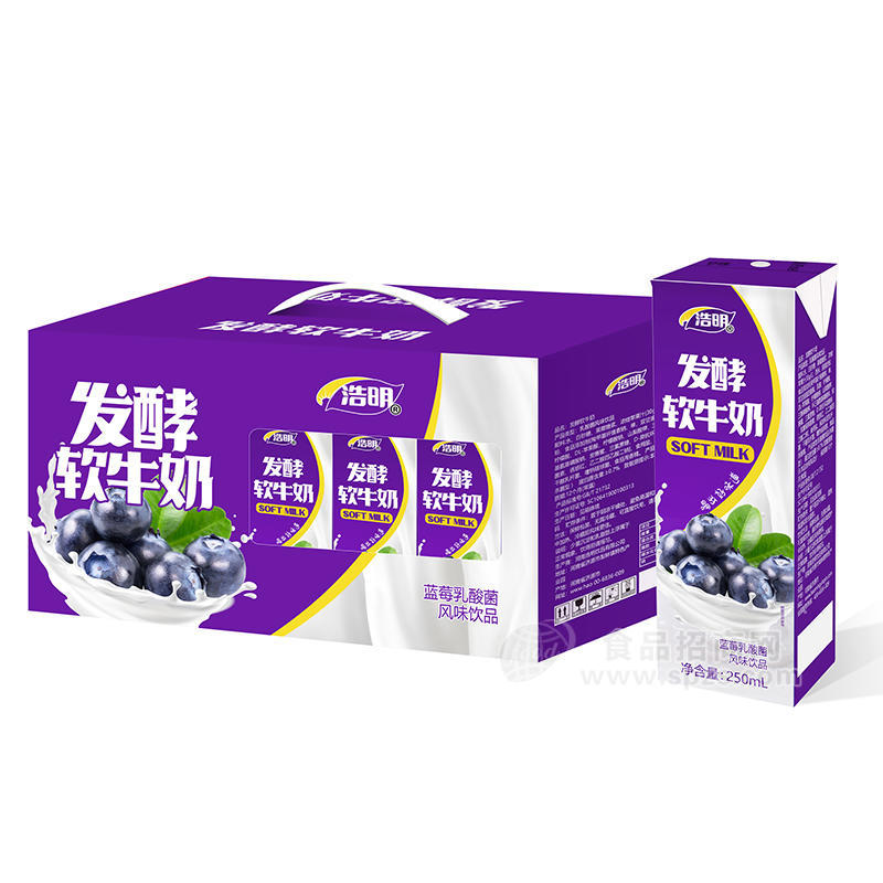 浩明发酵软牛奶蓝莓乳酸菌箱装招商250ml