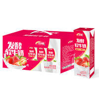 浩明发酵软牛奶乳酸菌风味饮品箱装招商250ml
