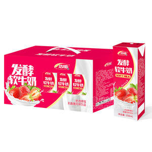 浩明發(fā)酵軟牛奶乳酸菌風味飲品箱裝招商250ml