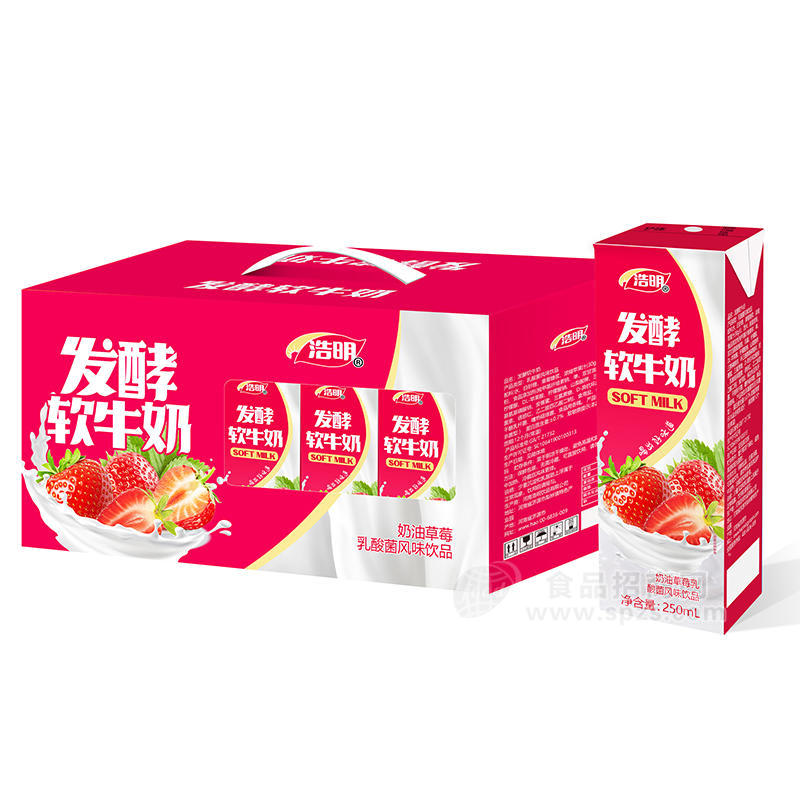 浩明发酵软牛奶乳酸菌风味饮品箱装招商250ml