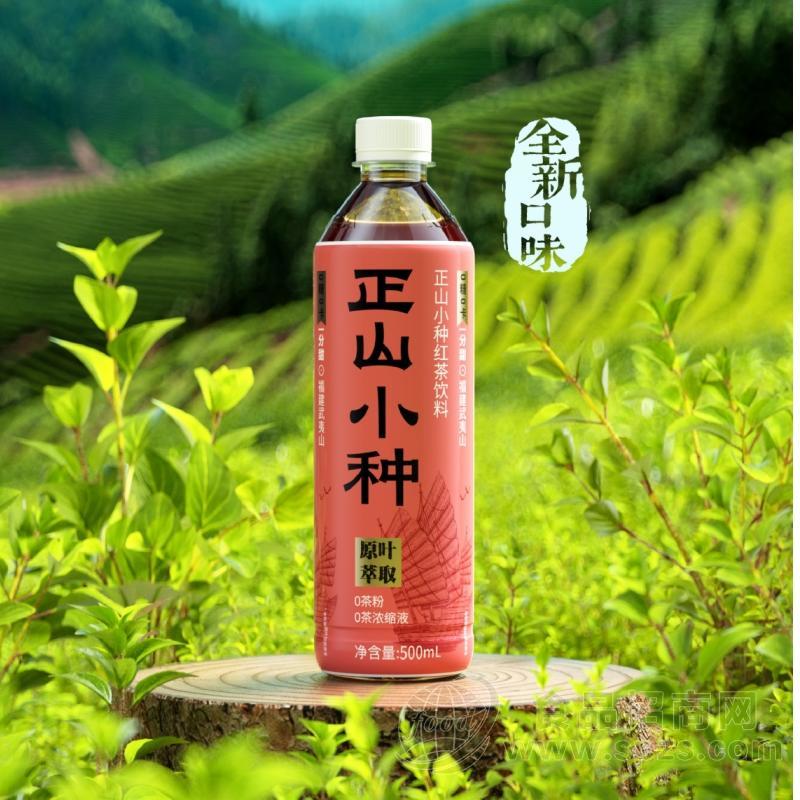 正山小种红茶饮料500ml