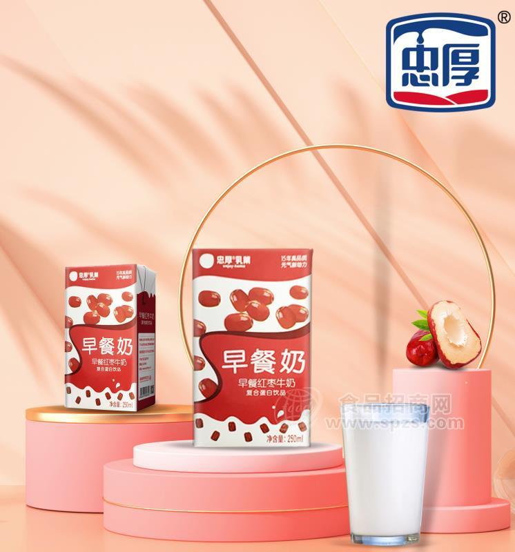 忠厚乳業(yè)早餐奶 紅棗牛奶 復(fù)合蛋白飲品