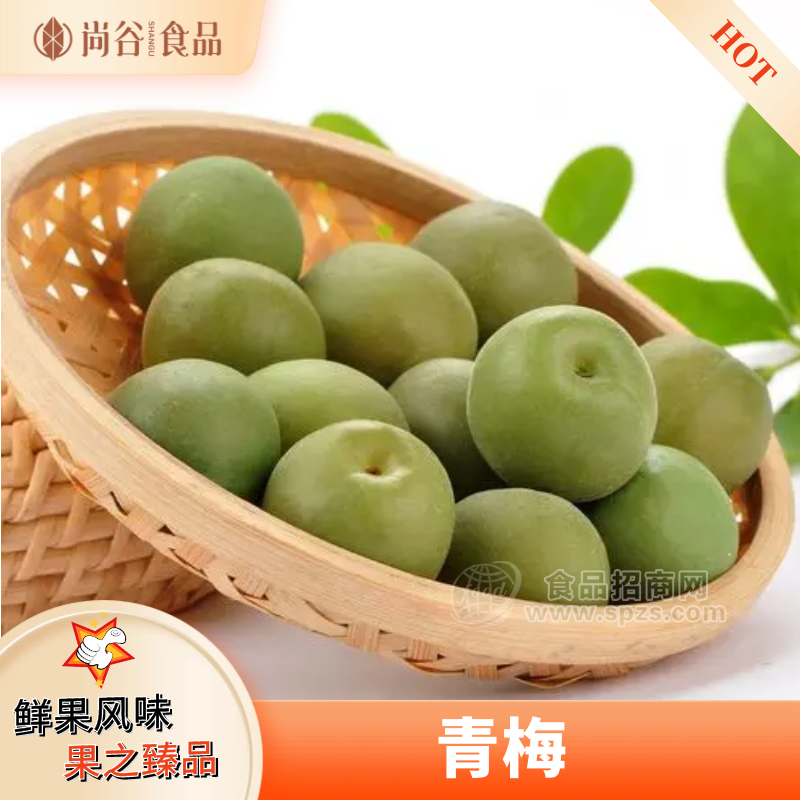 青梅代加工贴牌 蜜饯果脯零食批发 青梅蜜饯代加工