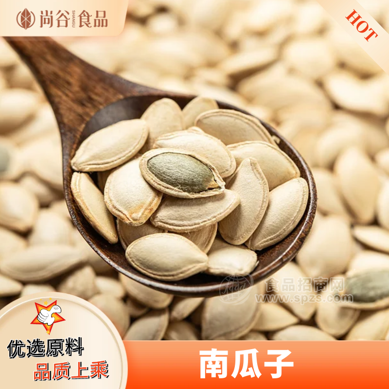 南瓜子贴牌定制 南瓜子代加工 南瓜子散装袋装批发