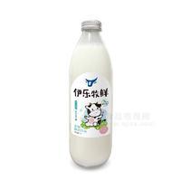 伊樂(lè)牧鮮1L玻璃瓶裝生牛乳發(fā)酵酸奶乳飲品招商