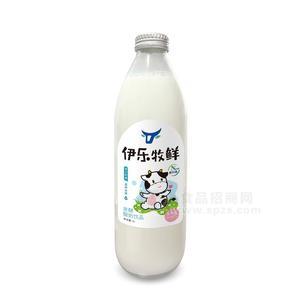 伊樂牧鮮1L玻璃瓶裝生牛乳發(fā)酵酸奶乳飲品招商