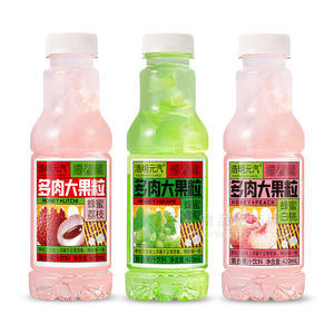 浩明元汽蜂蜜多肉大果粒复合果汁饮料箱装招商420ml